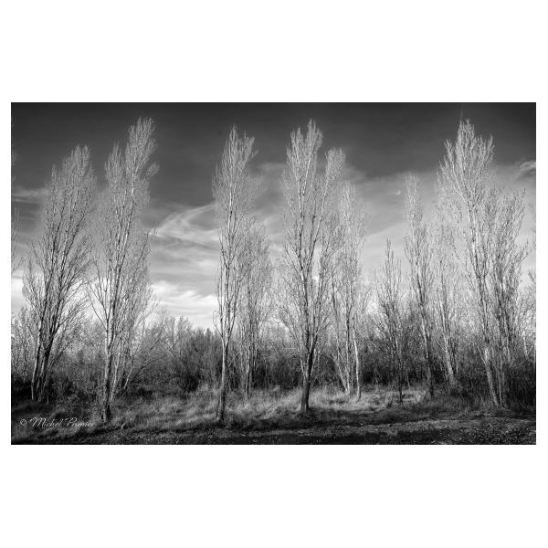 PHOTO84, CLUB, 84 , LUBERON